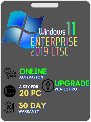Windows 11 Enterprise LTSC 2019