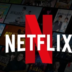 Netflix Premium 12 Mois - 1 Écran