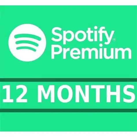 Spotify Premium 12 Mois