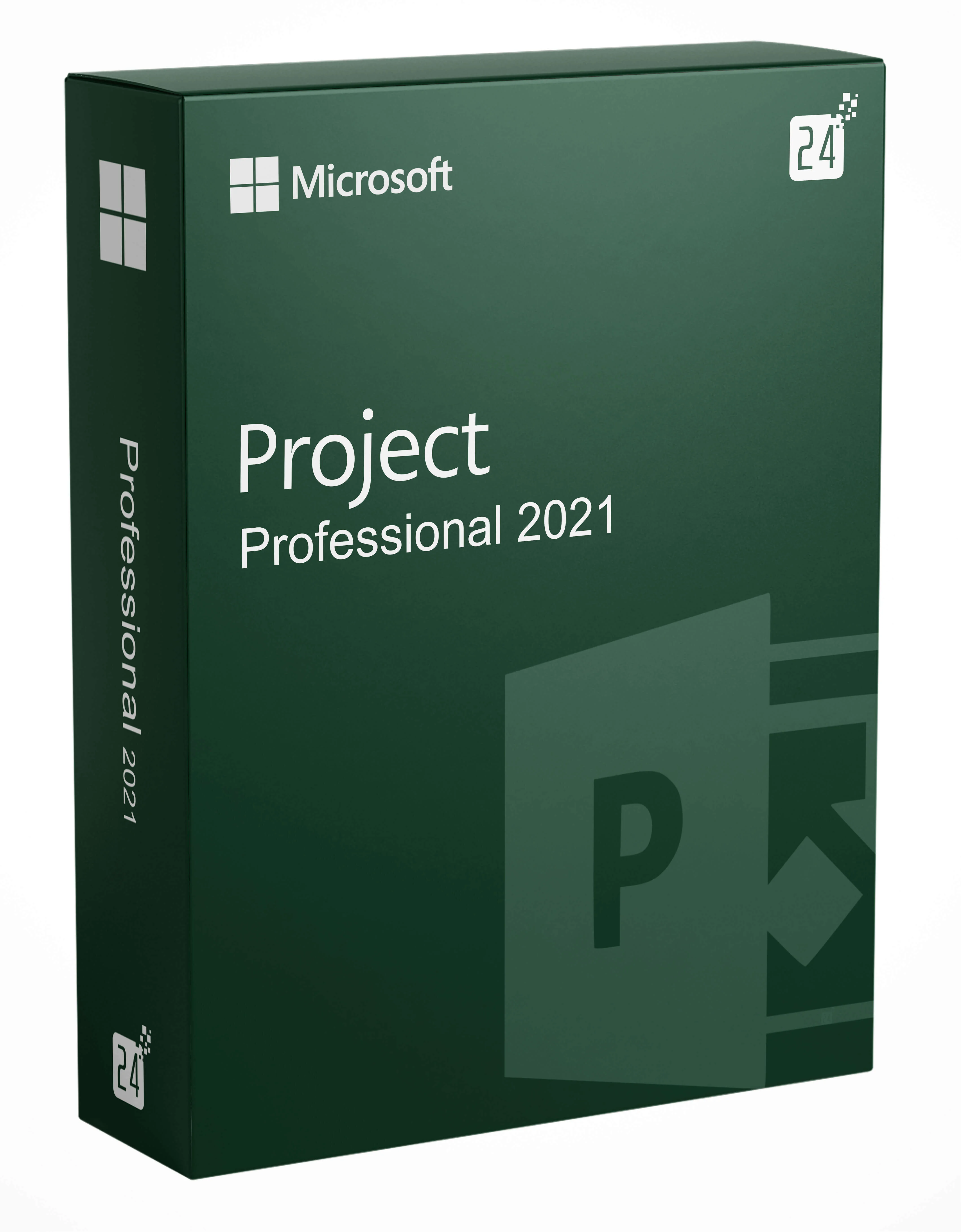 Microsoft Project Pro 2021 - 1 PC
