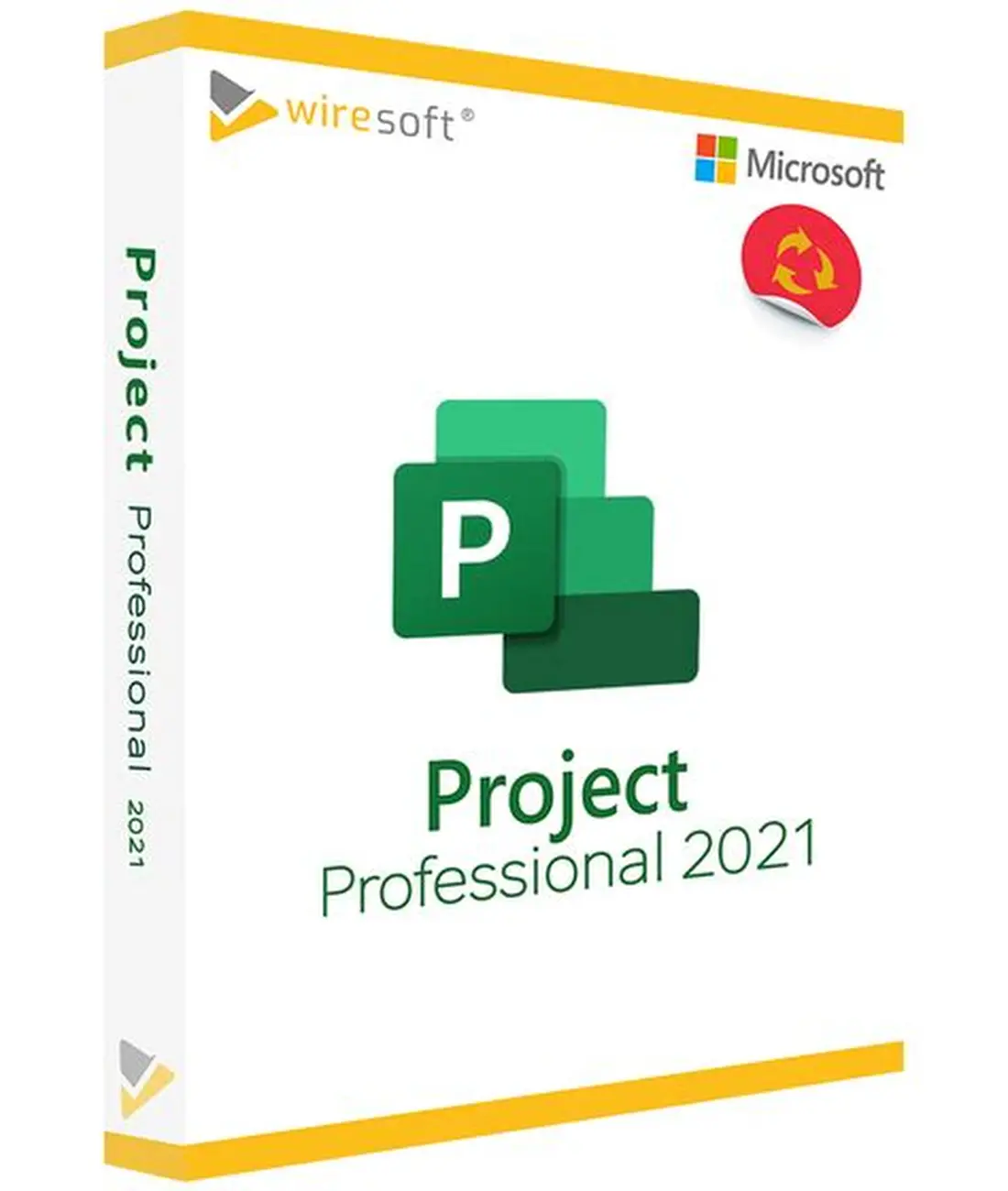 Project Pro 2021 Online 1PC
