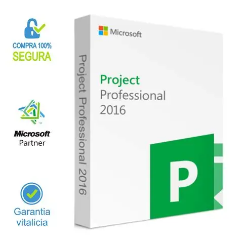 Project Pro 2016 Online 1PC