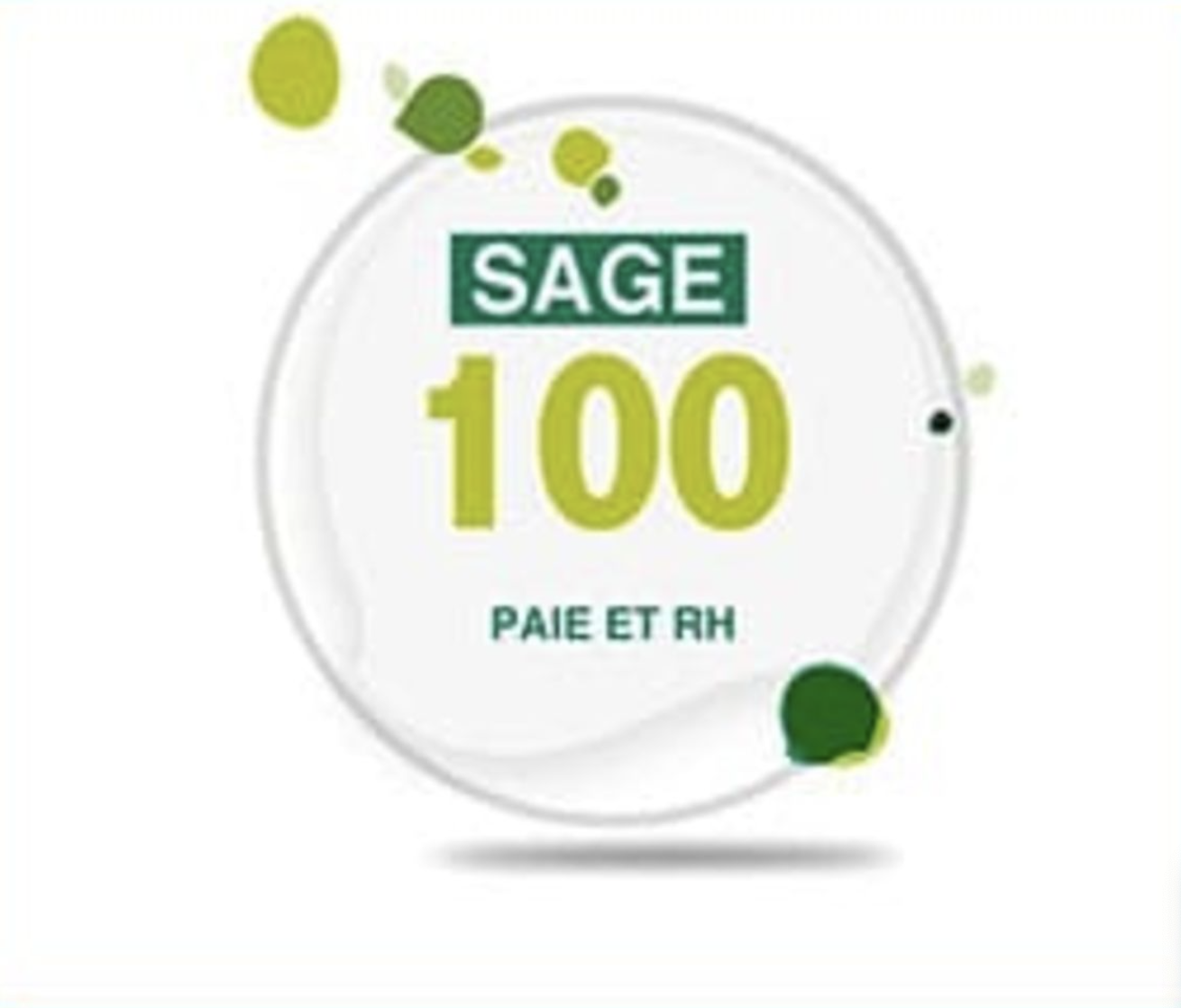 SAGE Paie et RH i7 v11.20